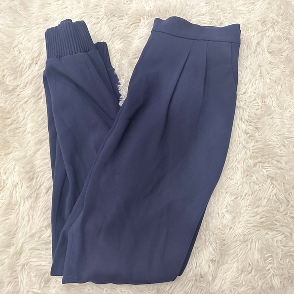 Babaton Pants - Aritzia Babaton jogger trousers with pockets| size 6